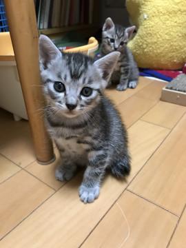 おっとり甘えっ子です♪