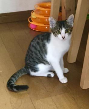 少し怖がりな女の子