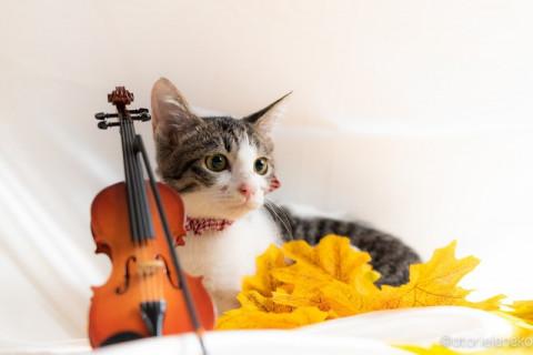 元気で懐こいペコちゃん