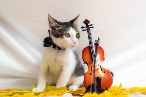 元気で懐こいポコちゃん♪