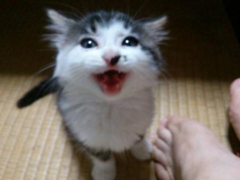 可愛い女の子です