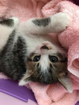 生後2ヶ月くらい