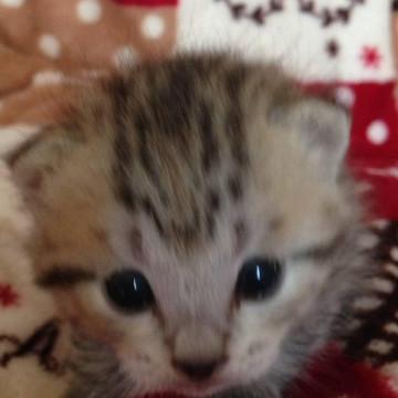 可愛い兄妹です