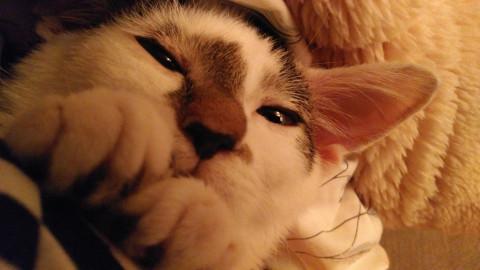 全力で遊ぶ！楽しむ♪