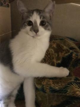 健気な優しいうーちゃん