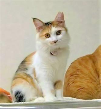 可愛い顔したお転婆ちゃん♪