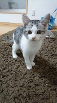 女の子みたい？ハルカくん☆