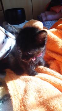 2018/10/01生まれ・女の子