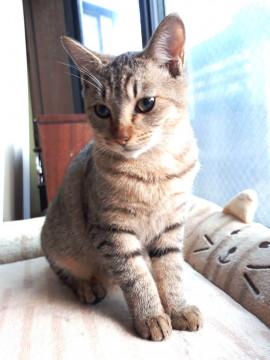 優しくて甘えん坊♪女の子６カ月