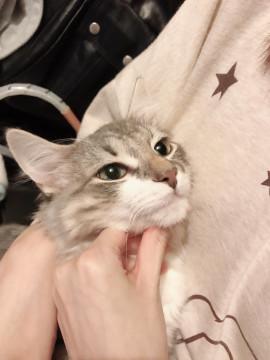 甘えん坊さん＊*