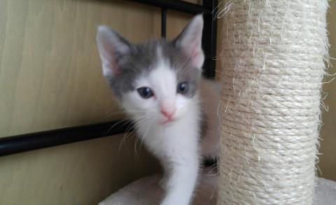 ありがとう兄弟