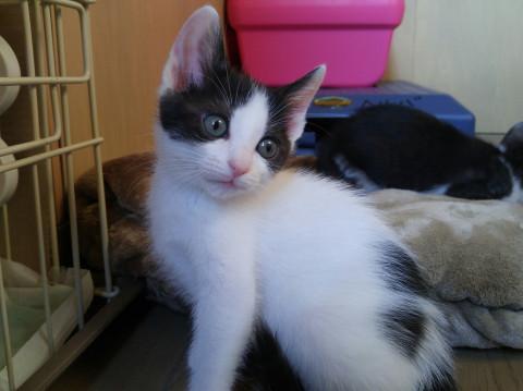 ありがとう兄弟