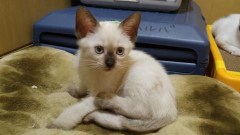 ありがとう兄弟