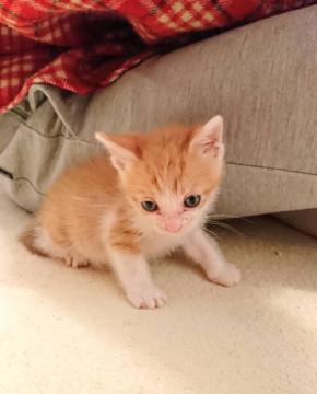 ちっちゃいけど元気でとっても可愛い男の子