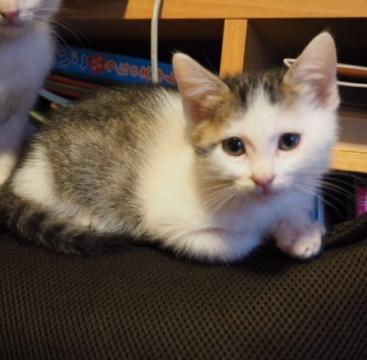 人が大好き　丸(ガン)ちゃん
