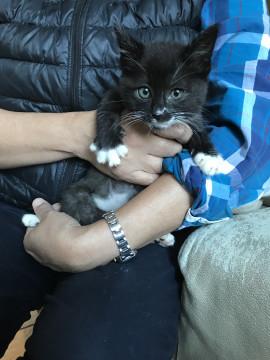 キャンセルの為、再募集致します❣️わしゃ