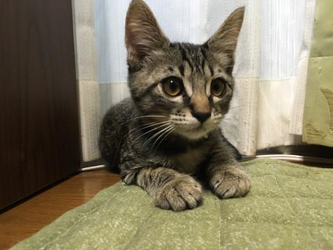 こんなに可愛いのに男の子です❤️