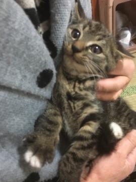 白たび足の可愛らしい男の子