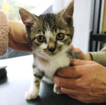 ☆１ヵ月ちょい男の子☆