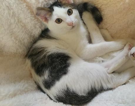 最期の1匹となりました