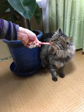 フワフワ大きな甘えん坊