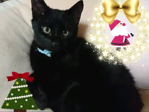 ビタッと寄り添うアダムくん