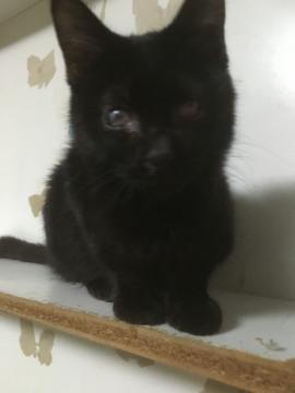 両目がダメージな馴れ馴れ男の子