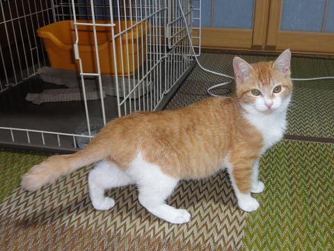 甘えん坊の男の仔