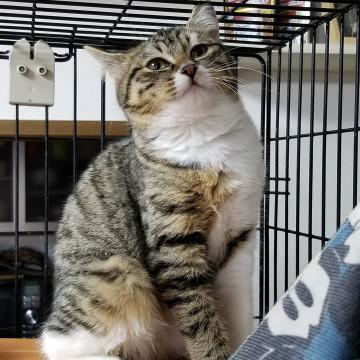 控えめでおとなしい女の子