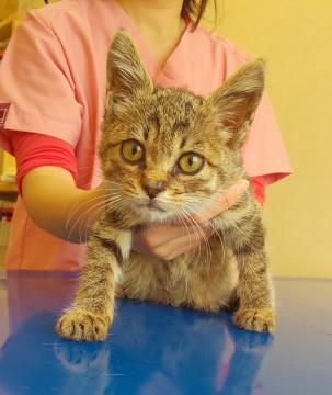 ☆可愛い甘えん坊の男の子☆