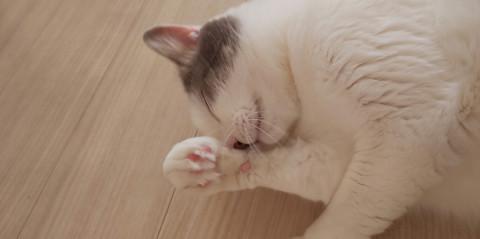 甘えん坊な男の子☆