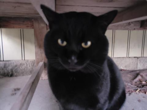 甘えん坊な男の子