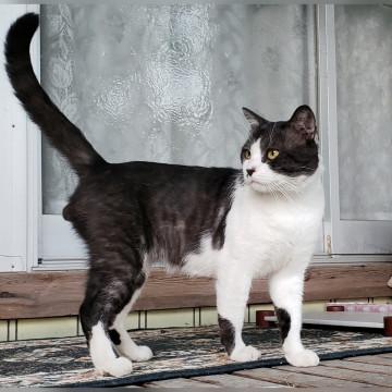 激甘えん坊な男の子