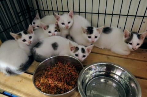 甘えすぎるほど甘えん坊な兄弟