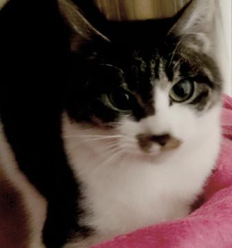 とっても甘えん坊な女の子！