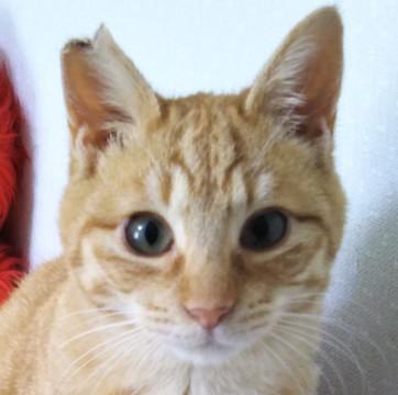 おすすめ！なれなれ、モチモチ、7ヵ月