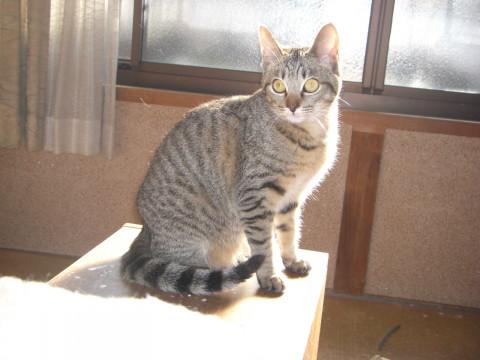 小柄で小顔
