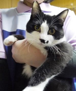 可愛いマイペース坊や♪　白黒くん