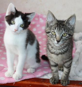 仲良しコンビ兄妹です。