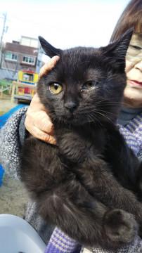 面談待ち  3ヶ月の女の子