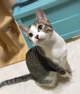 とんでもない甘えん坊