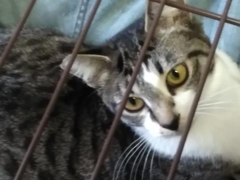 可愛い男の子ですよ