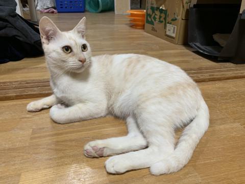 ひかえめ王子★優しい男の子です