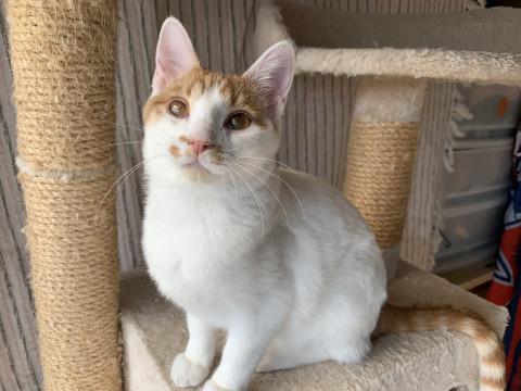 ほんわか天然坊や