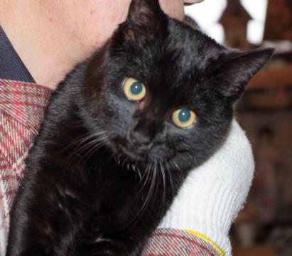 ちょっぴり臆病なくろまめくん