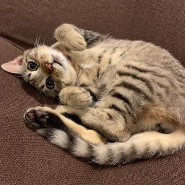 人が好きで好きで..好きすぎる☆優しい子