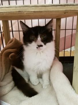 見た目じゃないよ！心美人なかわいこちゃん