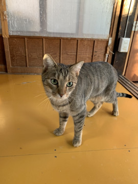 ハンサムなギジぼうや(*´∀｀*)