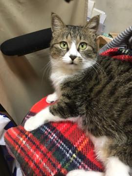 抱っこ大好き♡ふんわり丸顔&可愛い寝顔