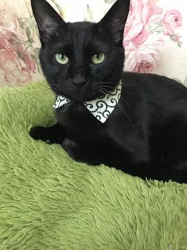 最初はビビリそれからスリゴロ